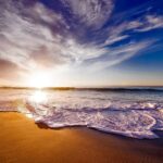 Lee más sobre el artículo California tiene las mejores playas de surf del mundo.