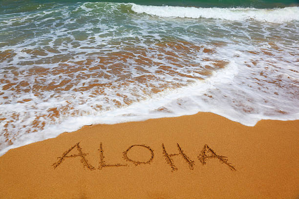 En este momento estás viendo El Espíritu Aloha y la Cultura del Surf: Una Sinfonía de Armonía y Respeto