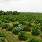 Lee más sobre el artículo Marcelo Ruiz Juarez: Liderazgo con arraigo y la transformación del capital humano